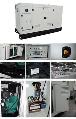 6.25 KVA Silent Generator Set with Delixi Circuit Breaker and 8 Hours Runtime at Full Load for Whisper Quiet Power Supply